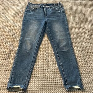 Judy Blue Skinny Denim Jeans